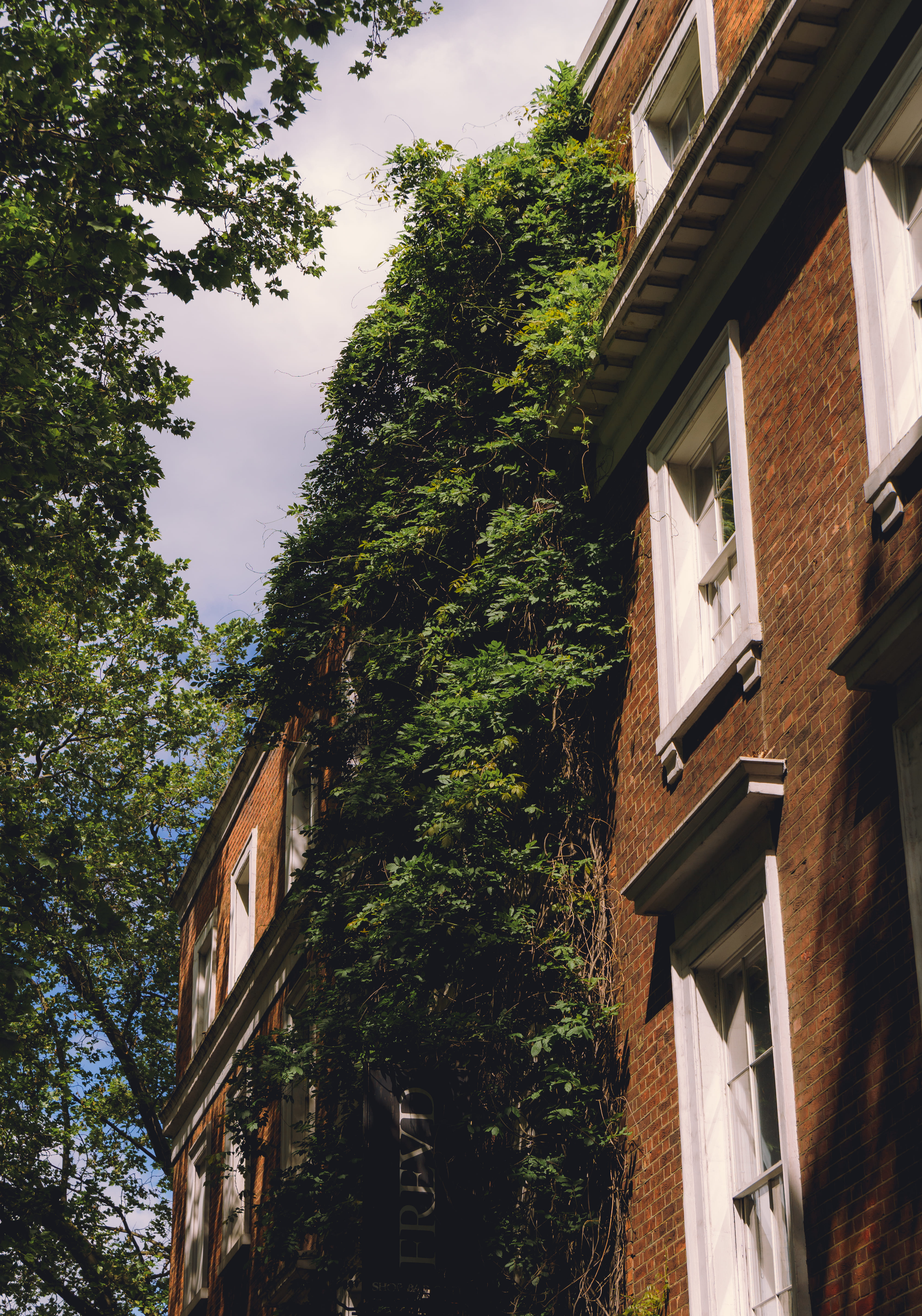 Foliage On A Building